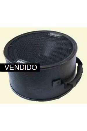 Acoustic Image Upshot Acoustic Image Upshot